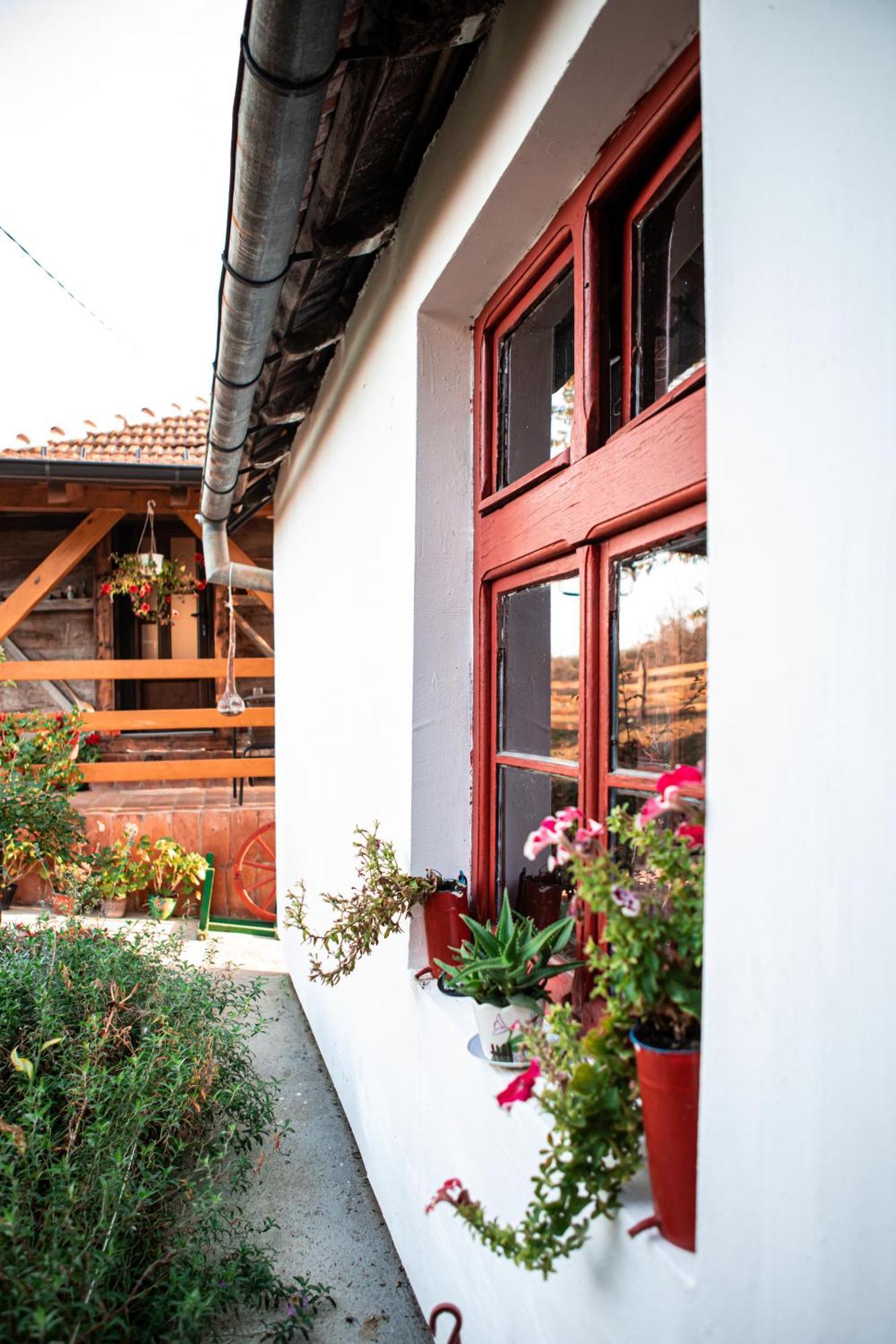 Villa Prenociste Lelic Valjevo Exterior foto