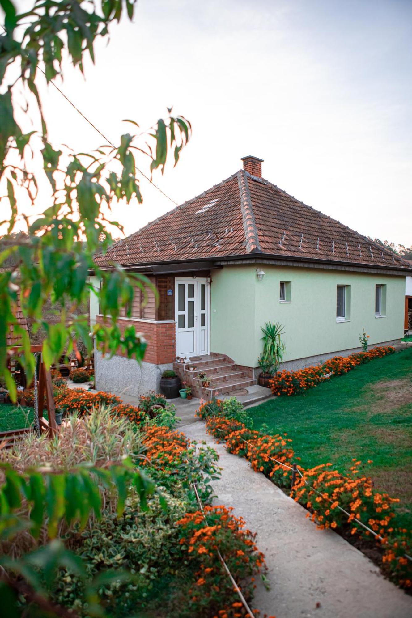 Villa Prenociste Lelic Valjevo Exterior foto