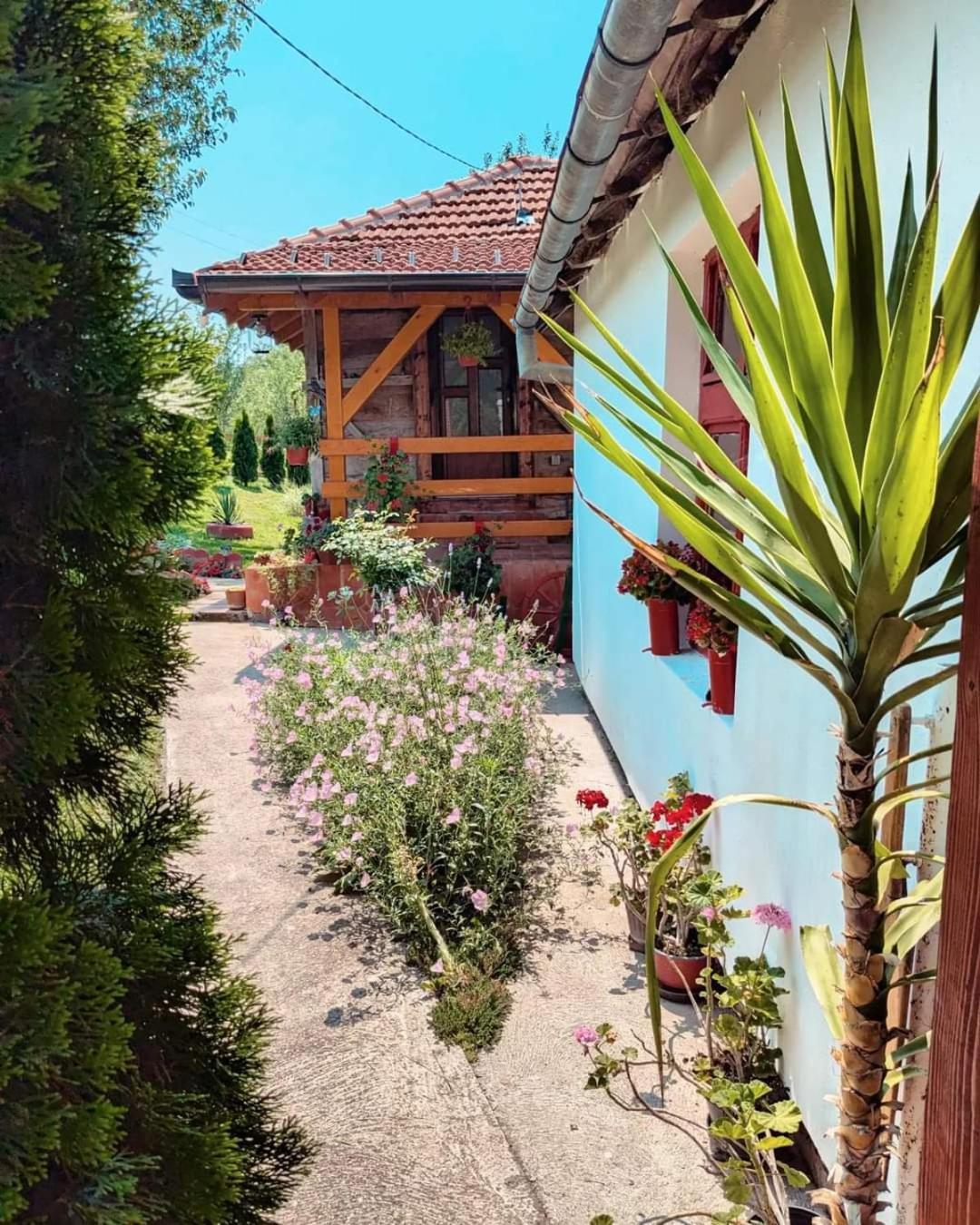 Villa Prenociste Lelic Valjevo Exterior foto
